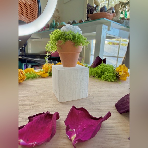 Other - Celestite succulent & Selenite Cube | Peace • Angelic Energy • Spiritual Clarity